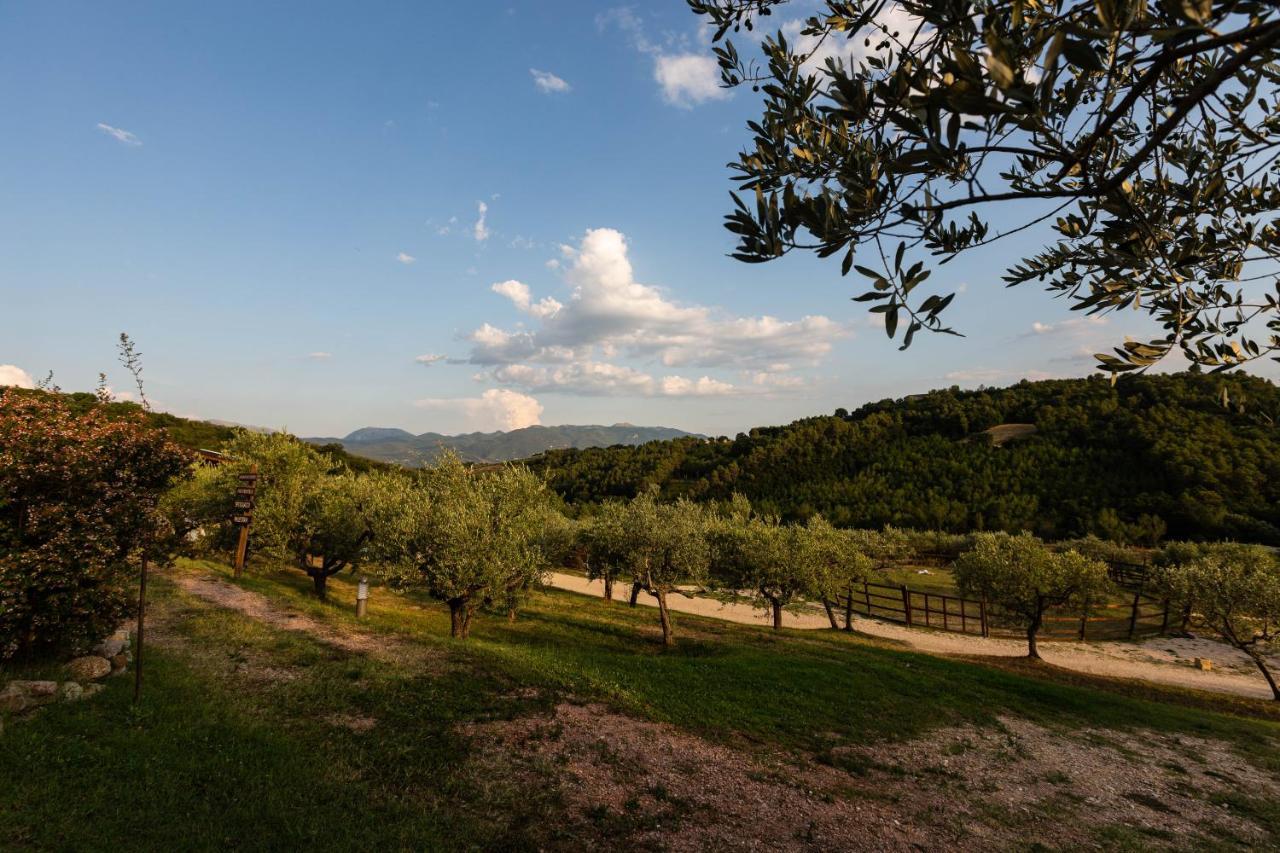 Agriturismo Agrileisuretime Spoleto Eksteriør bilde