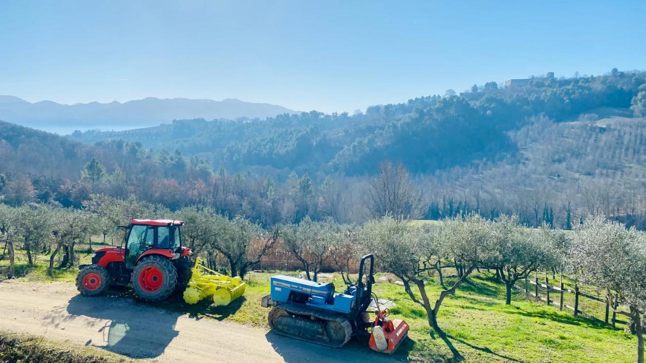 Agriturismo Agrileisuretime Spoleto Eksteriør bilde